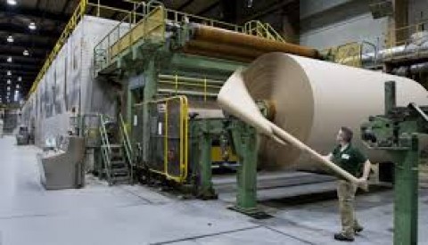Strategi Bertahan Industri Kertas Nusantara
