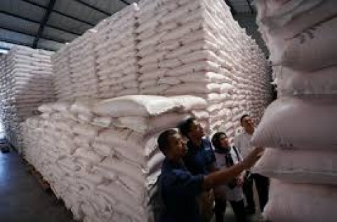 Upaya Pemerintah Kendalikan Distribusi Pupuk Demi Swasembada Pangan