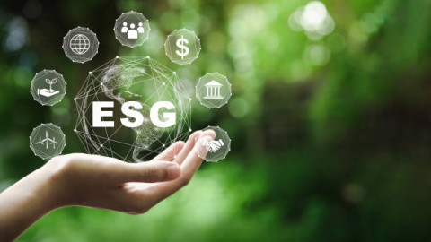 Investor Global Minati Perusahaan Berstandar ESG
