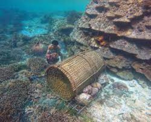 BUBU, PUSAKA AMPUH NELAYAN ASSILULU