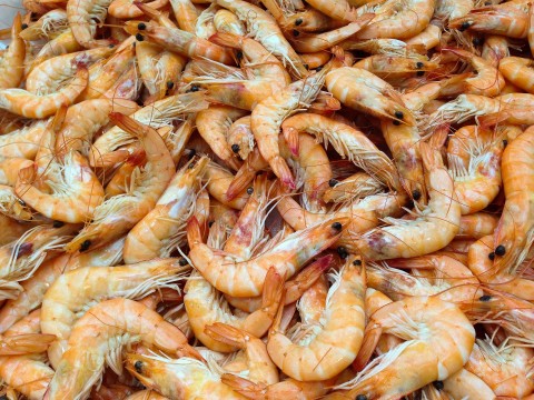 Dongkrak Produksi dari Kluster Udang