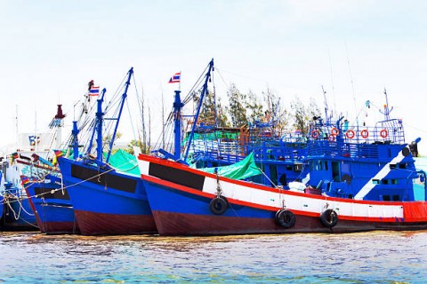 PERIKANAN, Sanksi Perlu Transparan