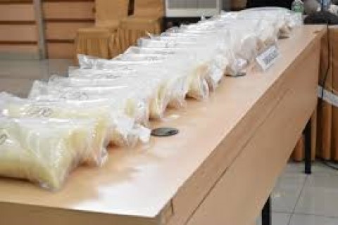 Penyelundupan Benih Lobster Berulang