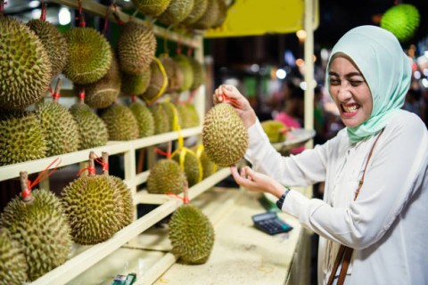 Panen Melimpah, Saatnya Berburu Durian Murah di Palembang