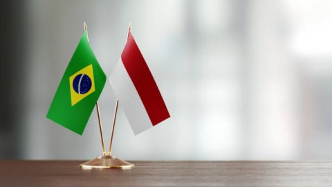 Indonesia dan Brasil akan Kembangkan 100.000Sapi Tropis di Indonesia