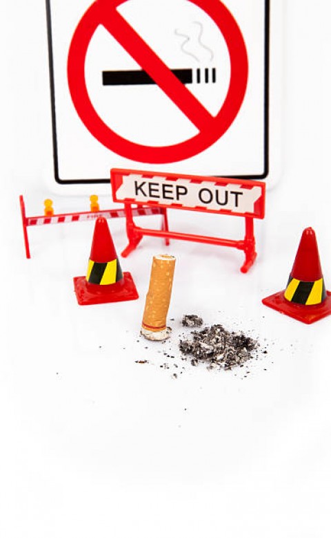 Pengendalian Tembakau, Pemerintah PusatHarus Bertindak Lebih