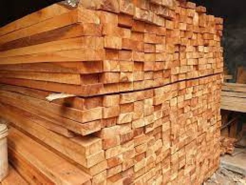 Kayu Telah Mengekspor 18 Kontainer