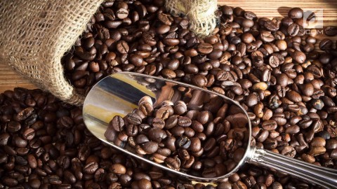 PRODUKTIVITAS PERKEBUNAN : SEMERBAK WANGI INDUSTRI KOPI BUMI SRIWIJAYA
