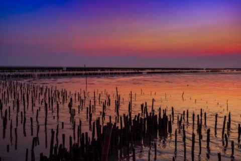 Dukungan Bank DuniaPercepat Rehabilitasi