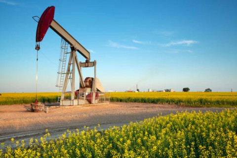 Pemerintah Genjot Hilirisasi Migas Agro dan Tambang 