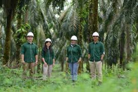 AALI Siapkan Belanja Rp 1,3 Triliun