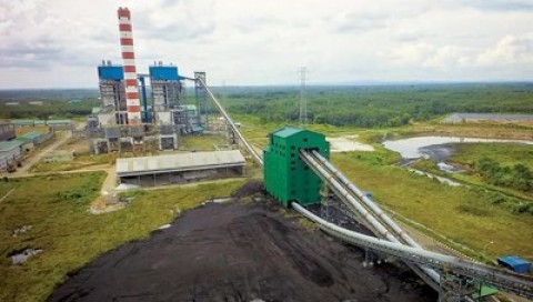 Emiten Batubara Berupaya Tetap Bercahaya