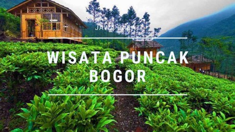 Kawasan Puncak Panen Berkah Lebaran