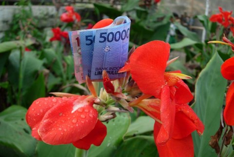 Bank Digital Menawarkan Bunga Simpanan Tinggi