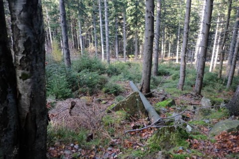 Serius Terapkan ESG, BRI Siapkan 8 Juta Pohon