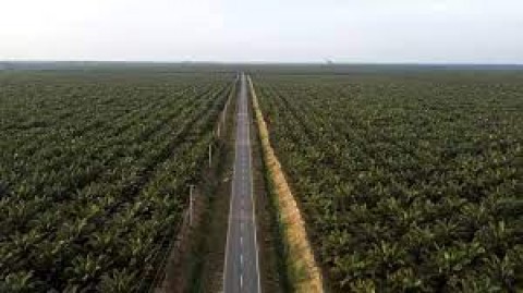 Pabrik Gliserol LDC Rampung Dua Tahun