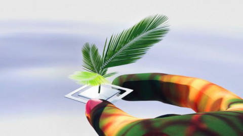 Untuk Kejar Produksi 100 Juta Ton, Industri Sawit Wajib Adopsi AI