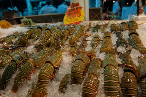 Kebijakan Edhy Jadi Pemicu Penyuapan 