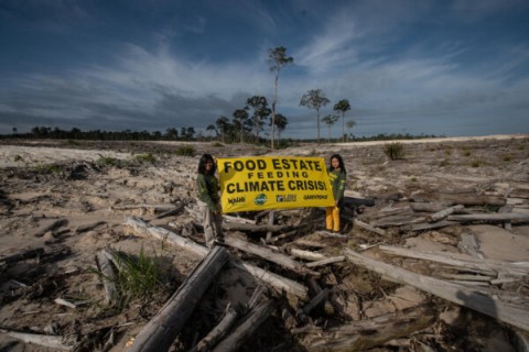 ”Food Estate” Dinilai Tak Relevan