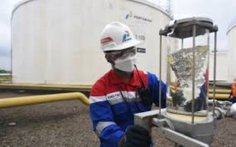 Bioavtur: Bahan Bakar Masa Depan untuk Jet di Pasar Global