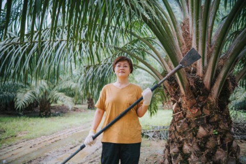 Perempuan buruh perkebunan sawit dihadapkan pada beban kerja fisik berat dan lingkungan kerja kurang aman