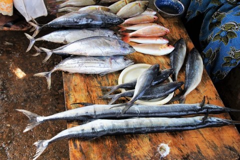 Harga Aneka Jenis Ikan Masih Tinggi di Pematangsiantar