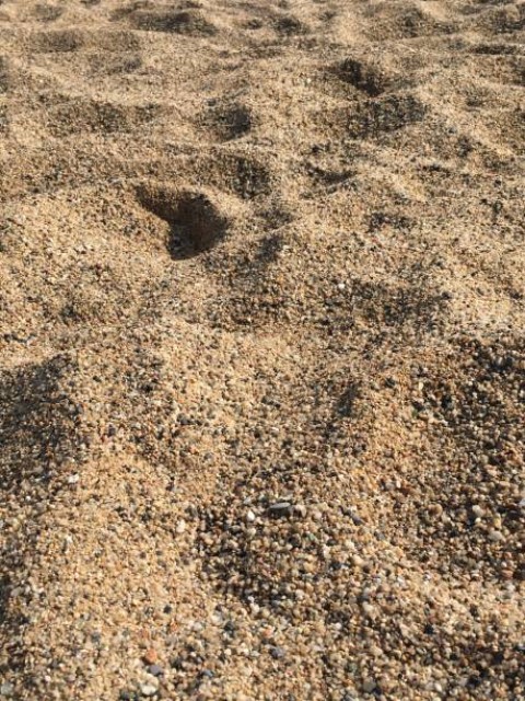 Menyalakan Kembali Alarm Kebijakan Ekspor Pasir