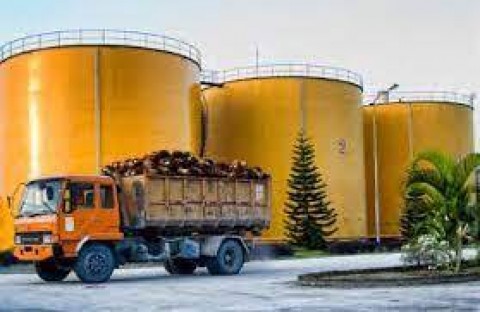 Kebijakan DepositoBakal Tekan Ekspor RI