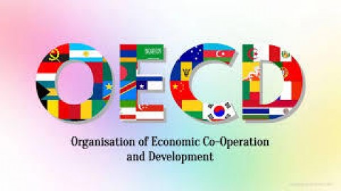 Rasio Pajak Minim BisaPersulit RI Gabung OECD
