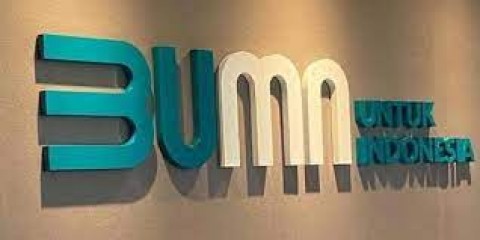 BUMN Telan PMN Rp 369 Triliun, Ini Manfaatnya