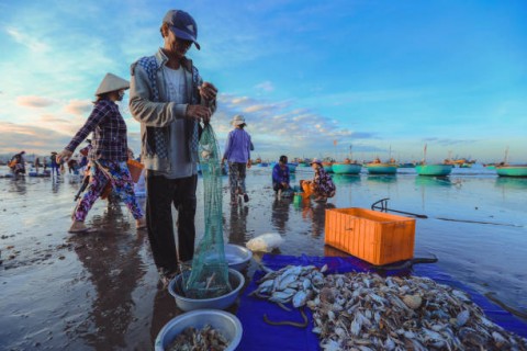 PENCEMARAN LAUT,  Ikan Sekarang ”Su” Lari Jauh