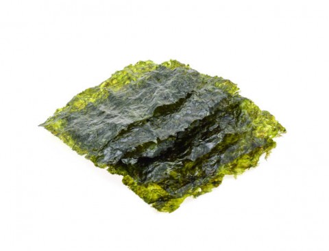 Ekspor Rumput Laut Olahan Didorong