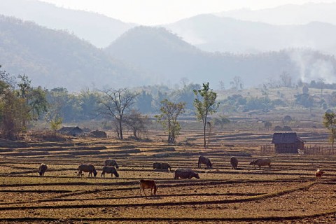 Mitigasi Kekeringan dan Rawan Pangan