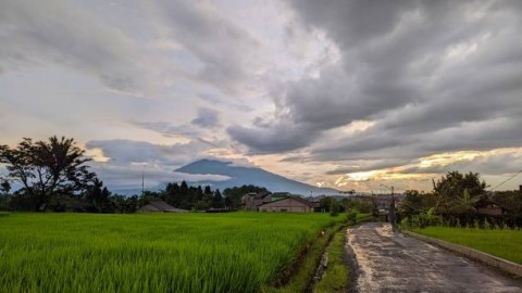 Janji Reforma Agraria Badan Bank Tanah