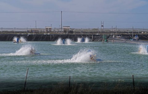 Sejahtera di Tengah Perubahan Iklim