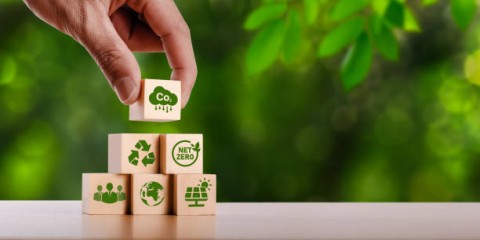 Inovasi Hijau atau Tong Sampah Karbon?