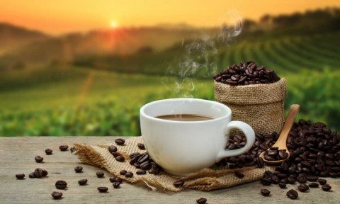 Komoditas Kopi, Karawang dan Purwakarta Jadi Sentra Baru