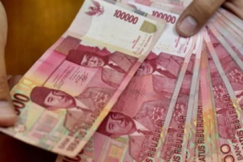 Bantuan Subsidi Upah, Menikmati Festival Flona Target Bertambah, Perluas Ruang Pendaftaran