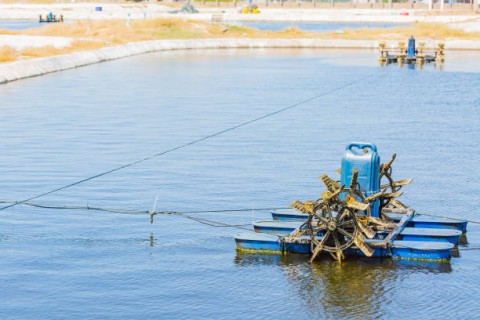 Babak Akhir TambakUdang Karimunjawa