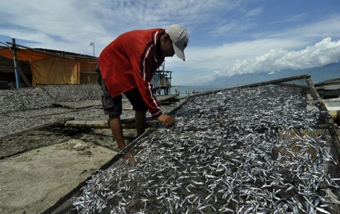 Nelayan Bagan di Laut Arafura