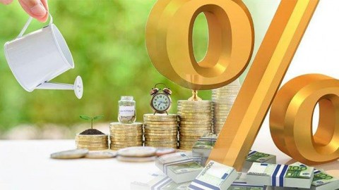 Menarik Greenback dengan Gula-Gula Bunga Tinggi