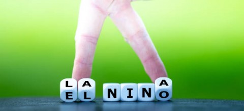 RI All-out Hadapi Kemarau Ekstrem