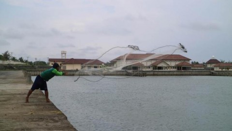 Revitalisasi Tanjung Adikarto Kulonprogo, Memantik Sektor Perikanan Diy