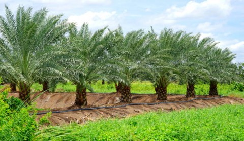 Waspada Kenaikan Harga 