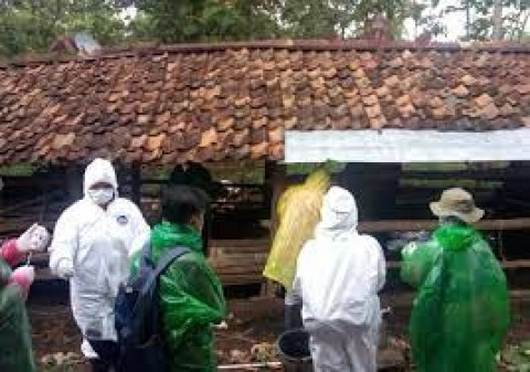 Antraks dan Kemiskinan di Gunungkidul 