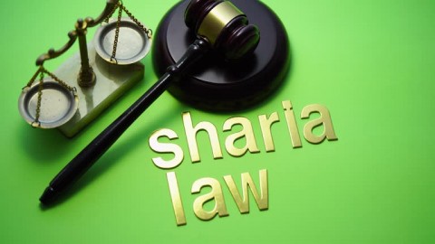 Keuangan Syariah Bantu Capai target Potensi Pertumbuhan Ekonomi Baru