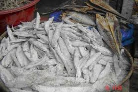 "KEUMAMAH” ACEH, MENGOLAH IKAN BUANGAN JADI BERKELAS