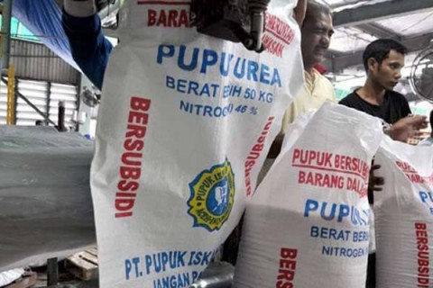 Petani Bersiasat Hadapi Keterbatasan Pupuk
