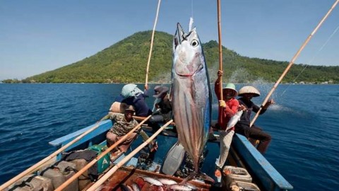 Berharap Sejahtera di Lumbung Ikan