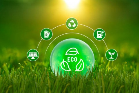 Transisi Energi Gradual Cegah Greenflation